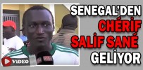 SENEGAL’DEN CHÉRİF SALİF SANÉ GELİYOR